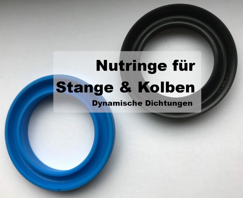 Nutringe für Stange und Kolben (Manschetten)